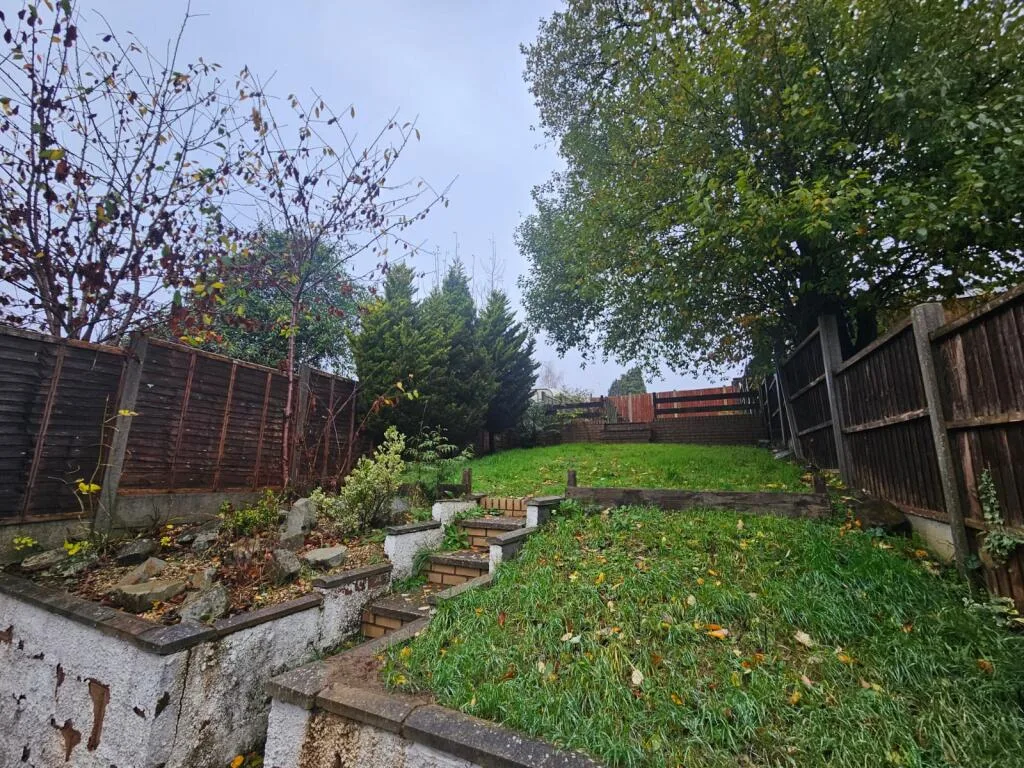 3 bedroom house for rent