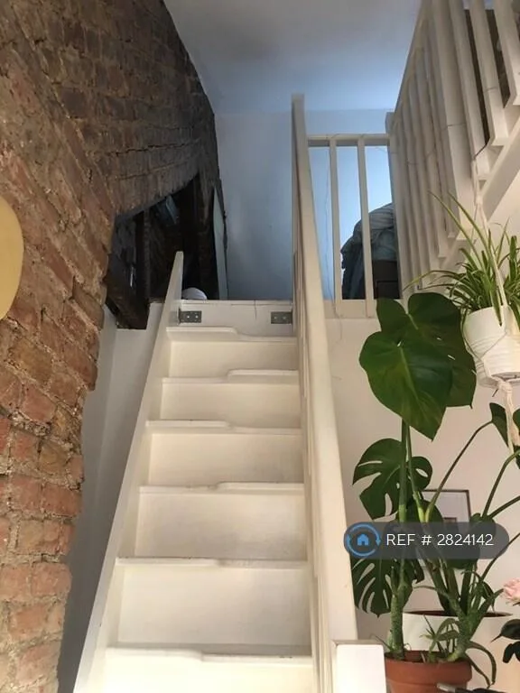 5 bedroom flat for rent