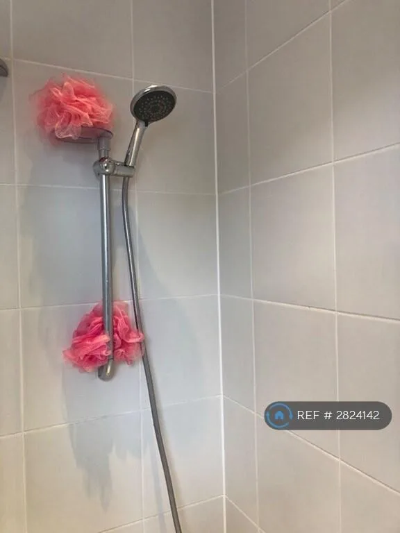 5 bedroom flat for rent