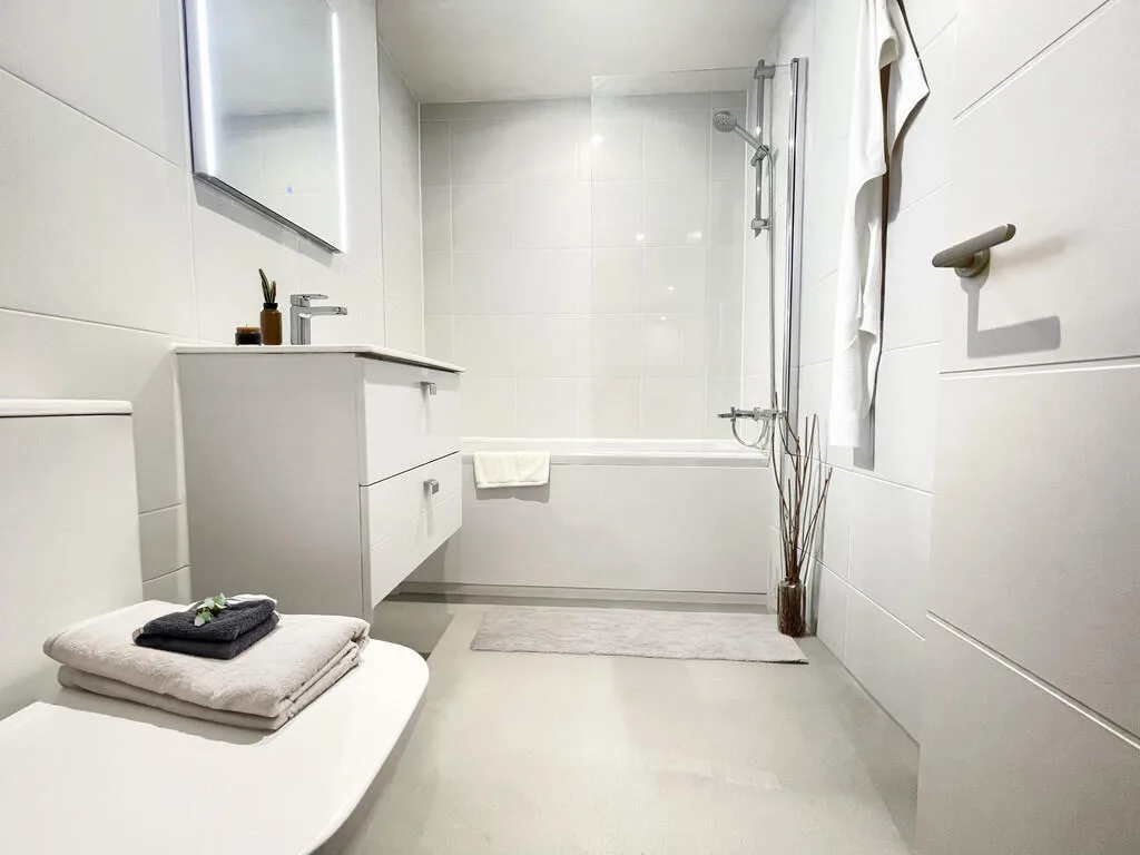 1 bedroom apartment for rent