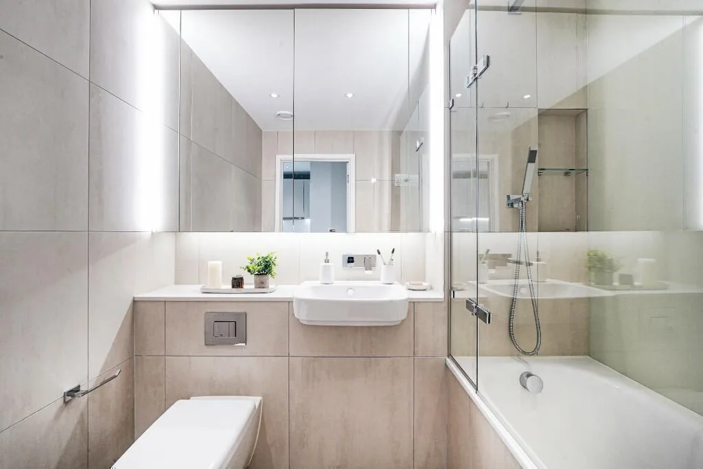 1 bedroom apartment for rent