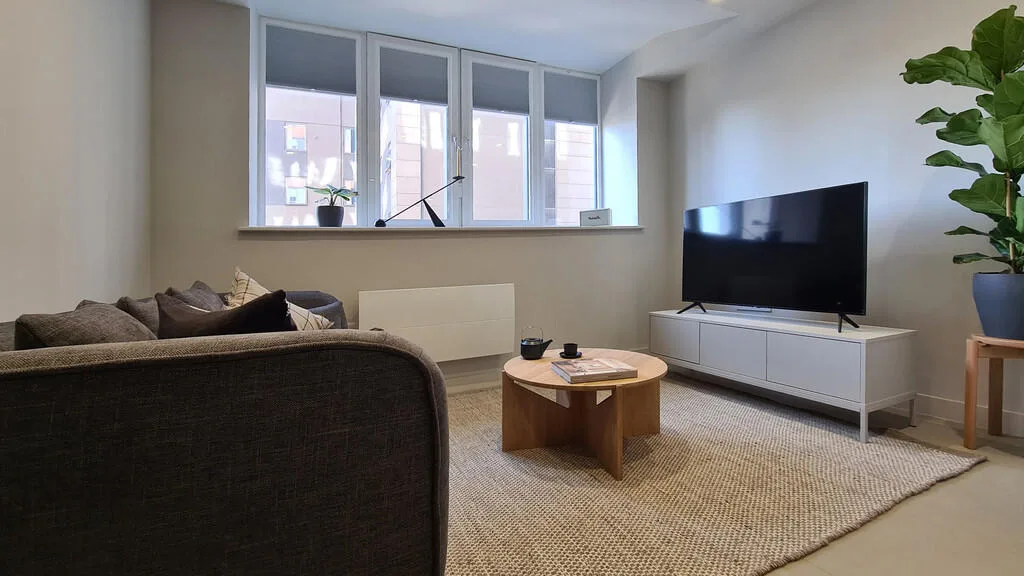 1 bedroom apartment for rent