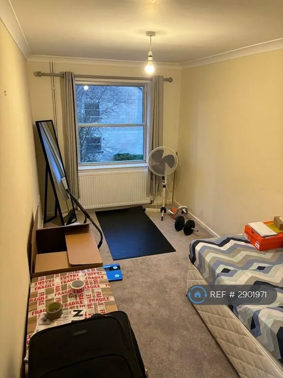 3 bedroom flat for rent