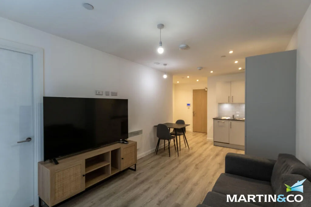 1 bedroom apartment for rent