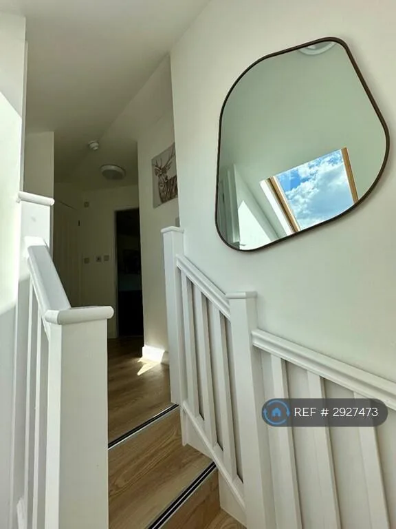 1 bedroom house share for rent