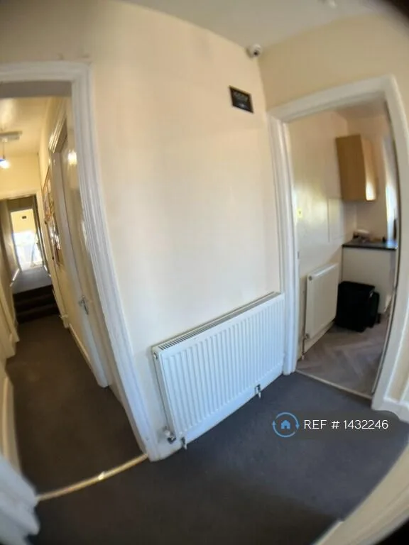 5 bedroom flat for rent