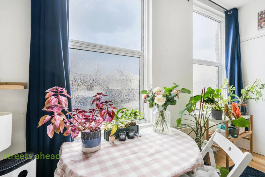 Studio apartment for rent