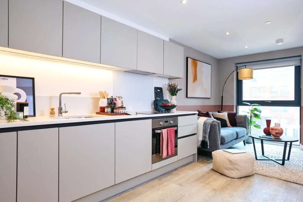 1 bedroom apartment for rent