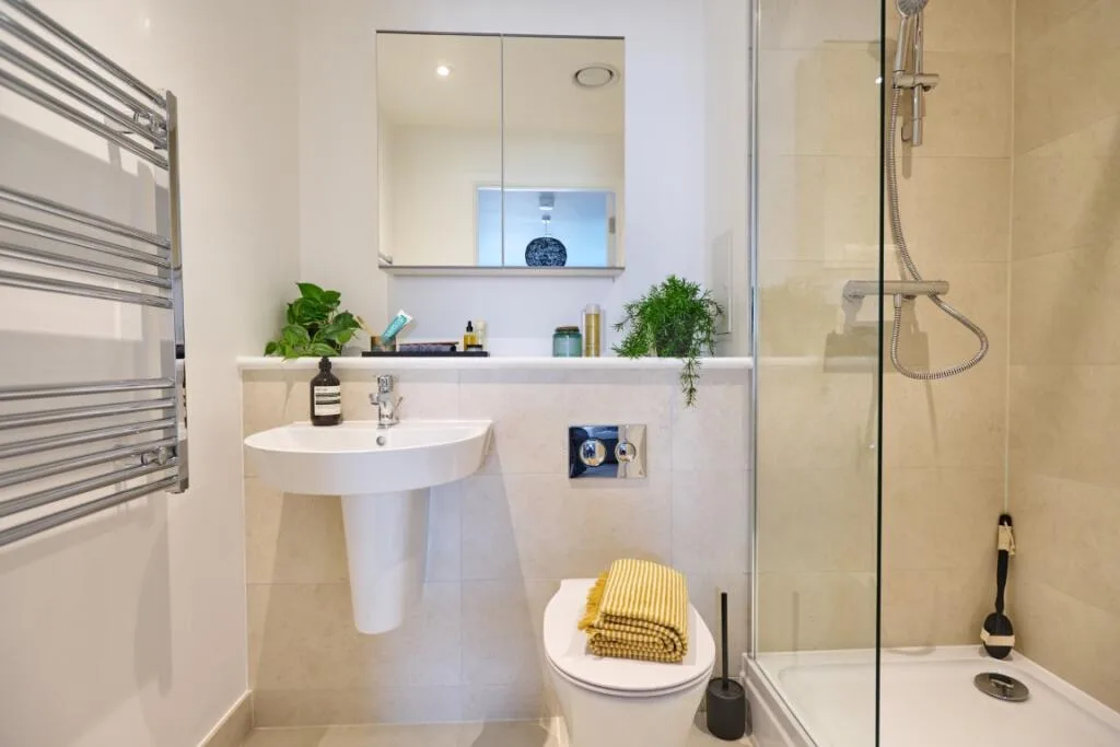 2 bedroom apartment for rent
