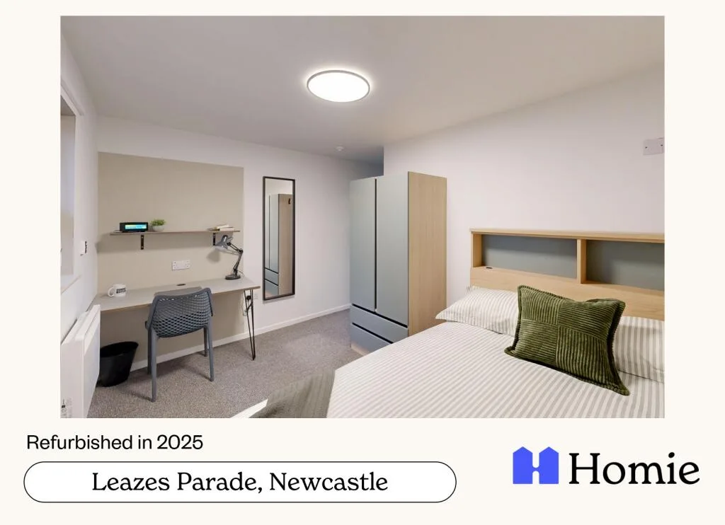 10 bedroom house for rent