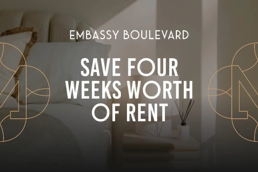 1 bedroom apartment for rent