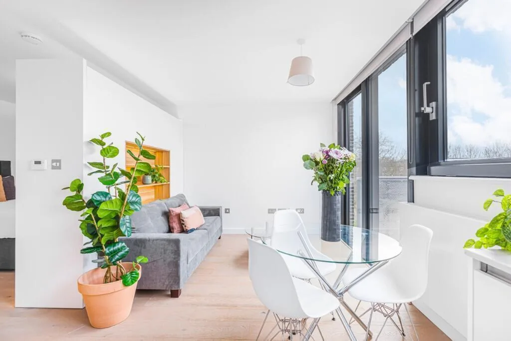 Studio flat for rent