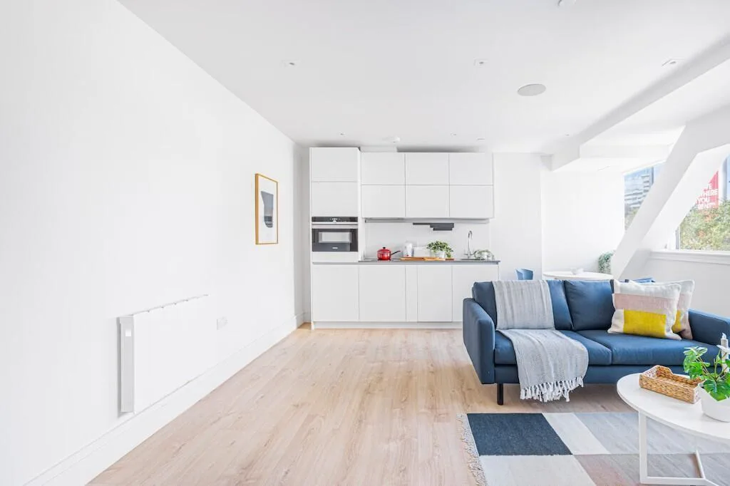 1 bedroom flat for rent