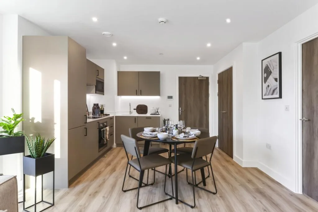 1 bedroom flat for rent