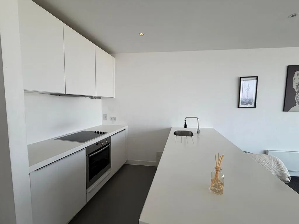 1 bedroom apartment for rent
