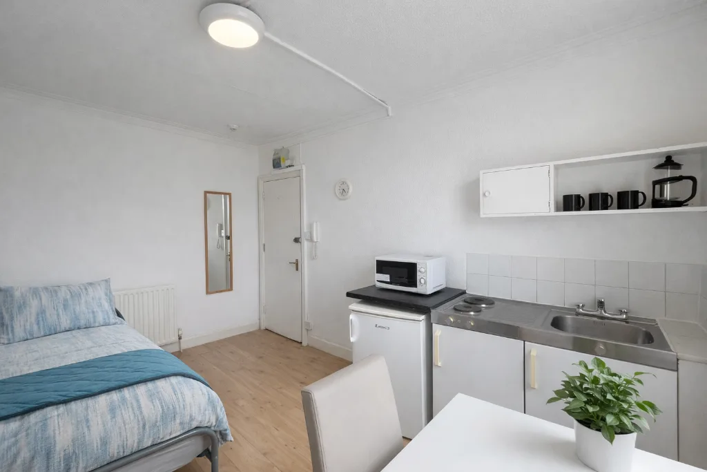Studio flat for rent