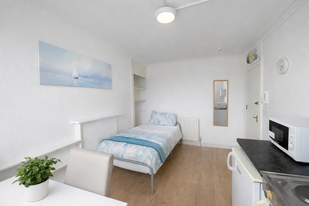 Studio flat for rent