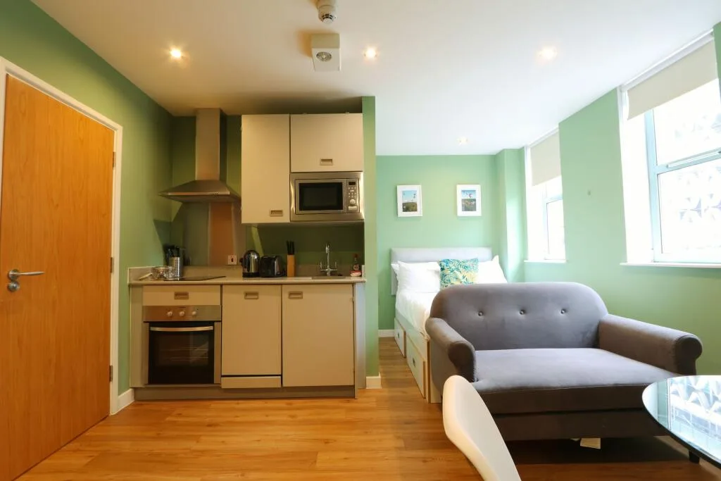 Studio flat for rent