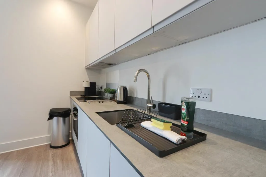 1 bedroom flat for rent
