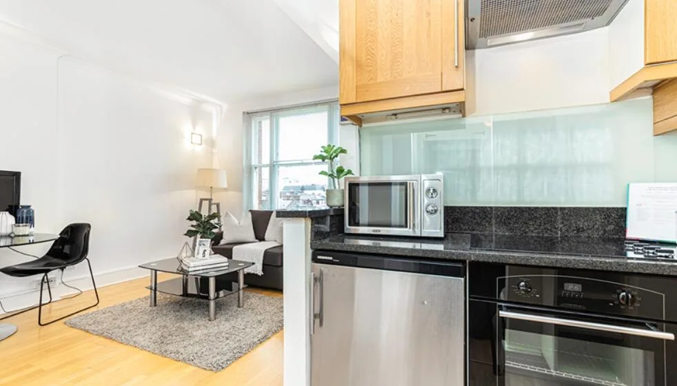 1 bedroom apartment for rent