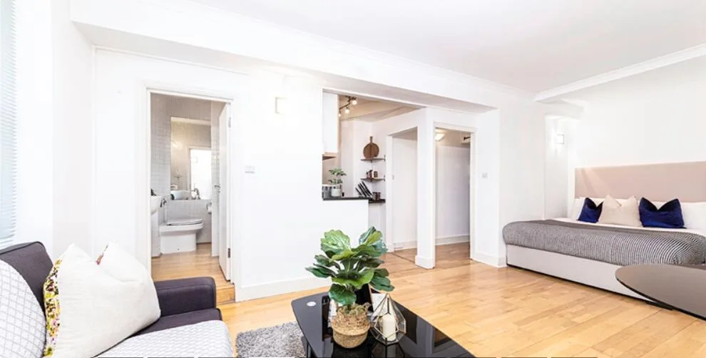 1 bedroom apartment for rent