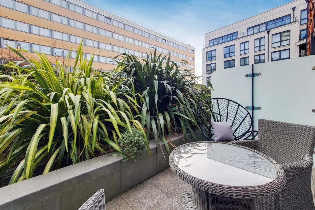 Studio flat for rent