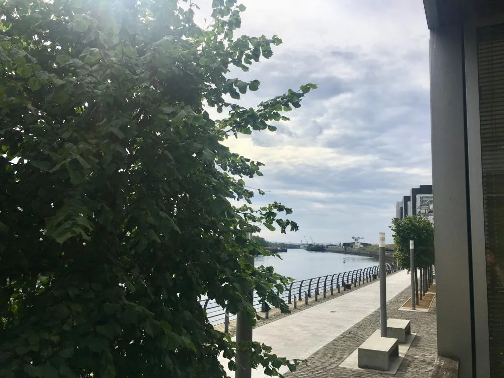 1 bedroom ground floor flat for rent