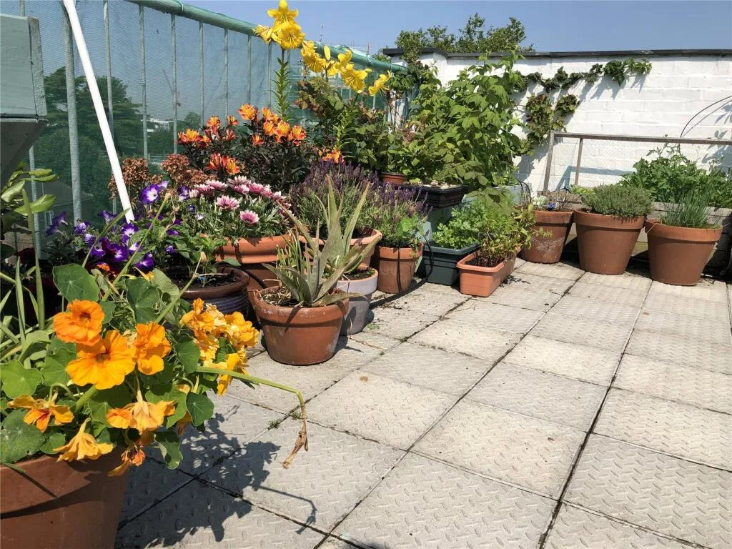 2 bedroom penthouse for rent
