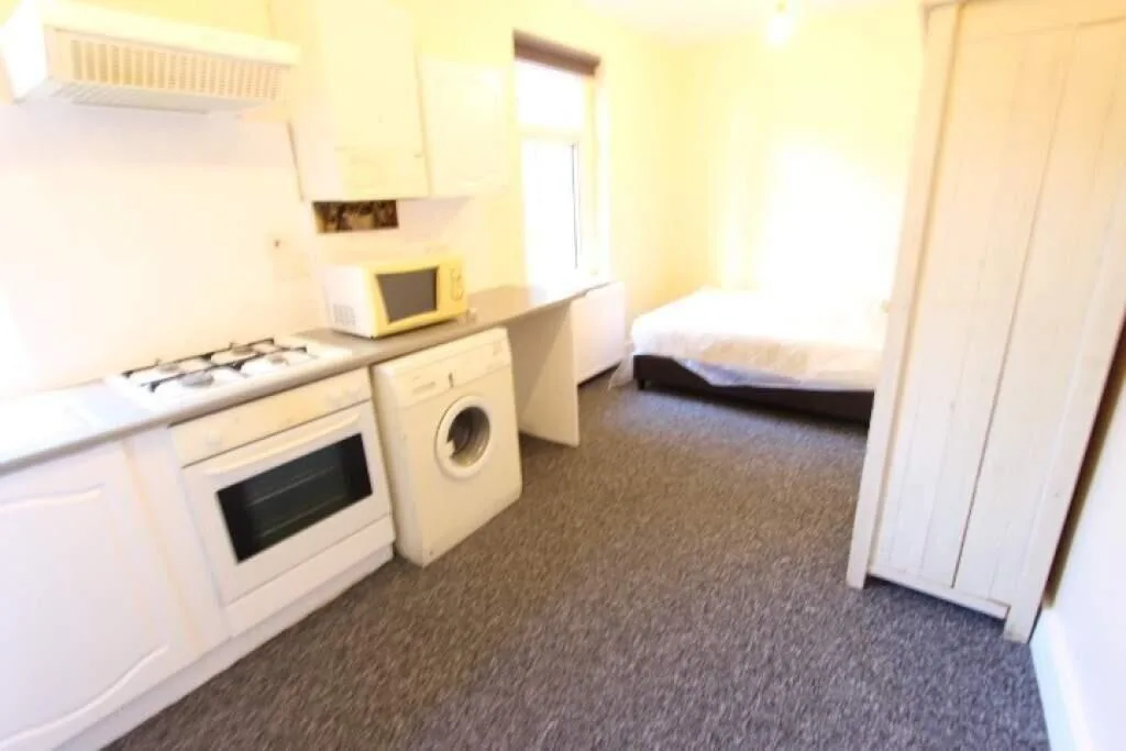 1 bedroom apartment for rent
