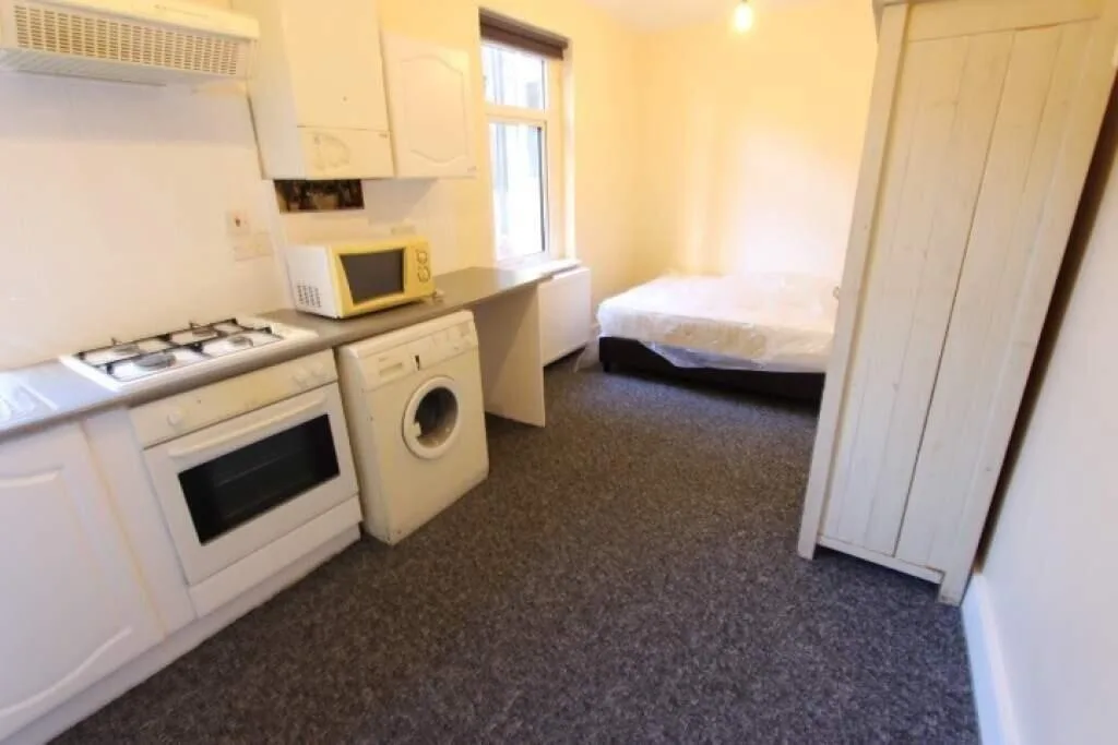 1 bedroom apartment for rent