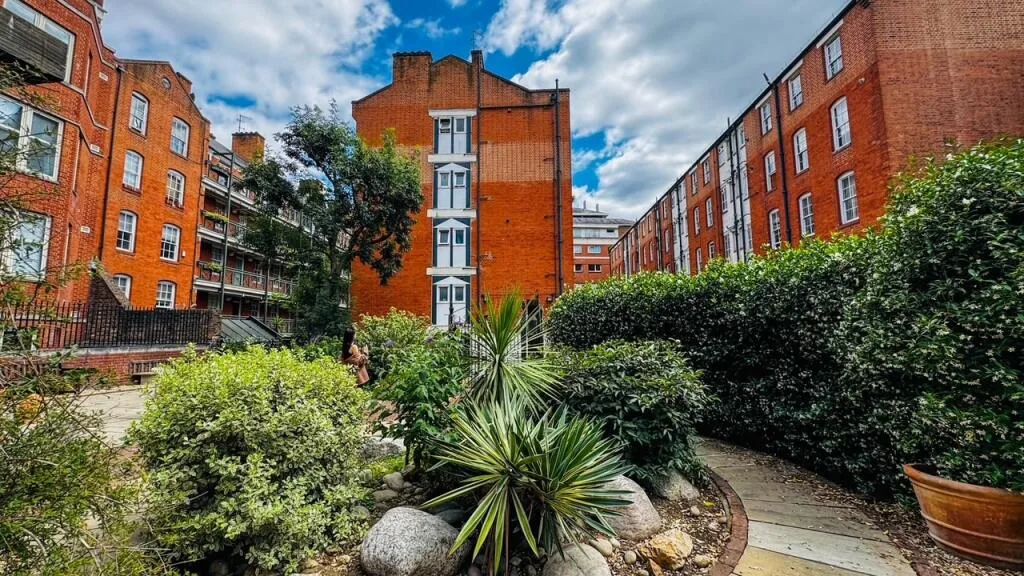 1 bedroom apartment for rent