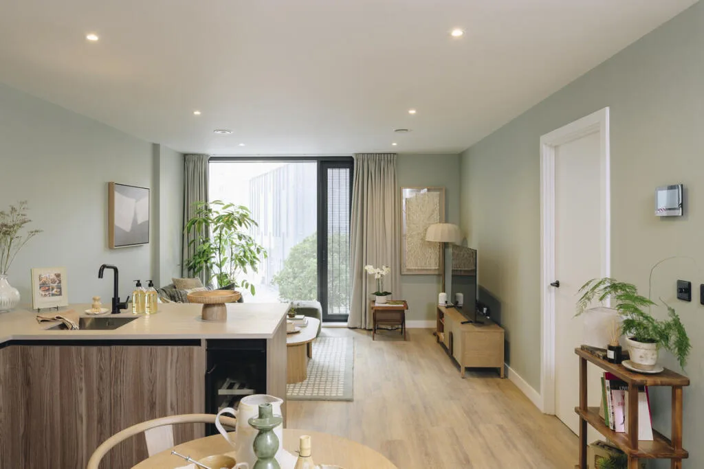 1 bedroom apartment for rent