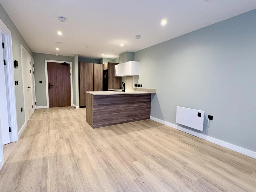 1 bedroom apartment for rent