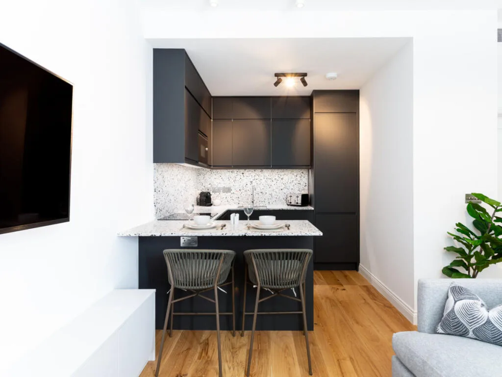 Studio flat for rent