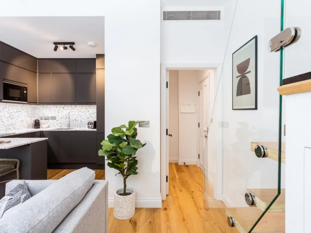 Studio flat for rent