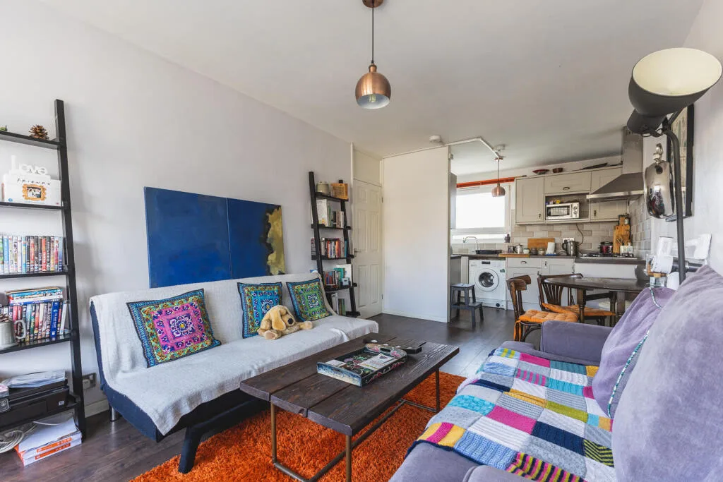 1 bedroom apartment for rent