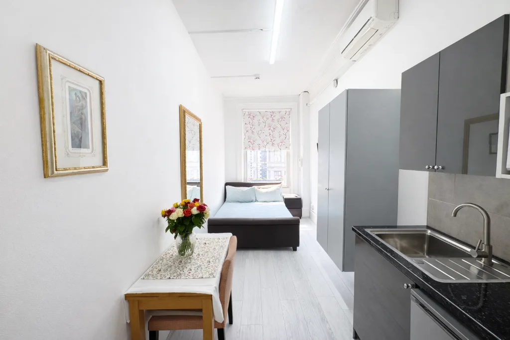 Studio flat for rent
