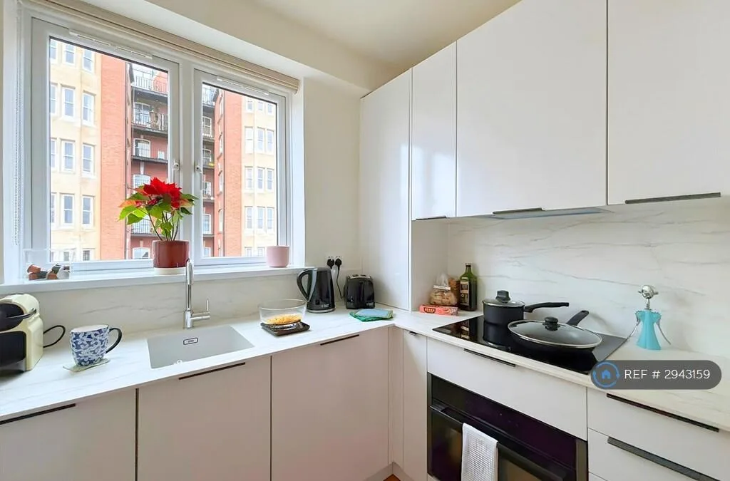1 bedroom flat for rent