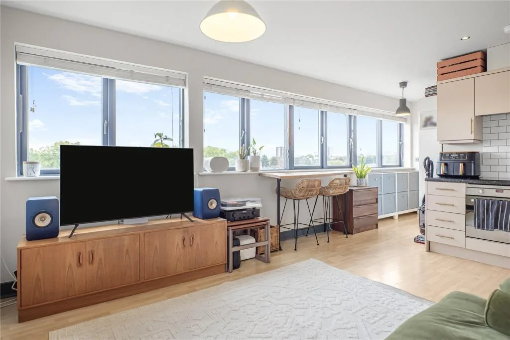 1 bedroom penthouse for rent