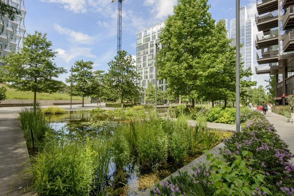 3 bedroom apartment for rent