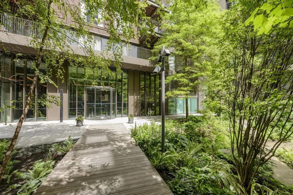 3 bedroom apartment for rent