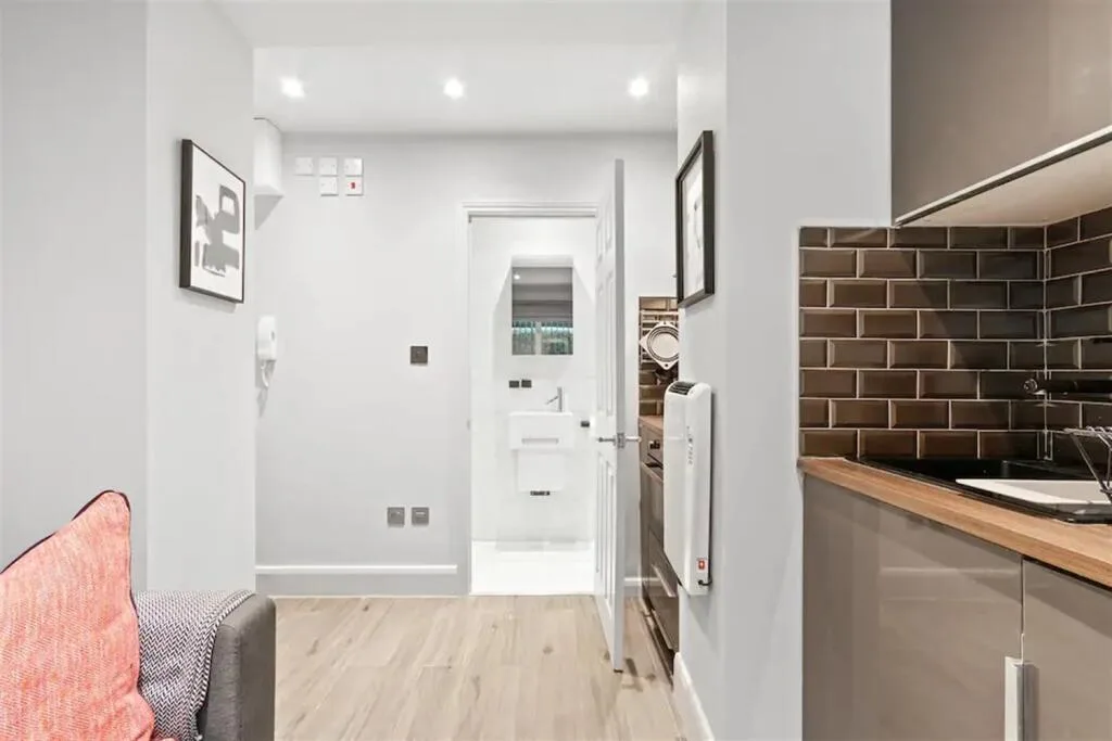 1 bedroom apartment for rent