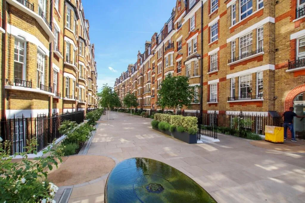 1 bedroom flat for rent