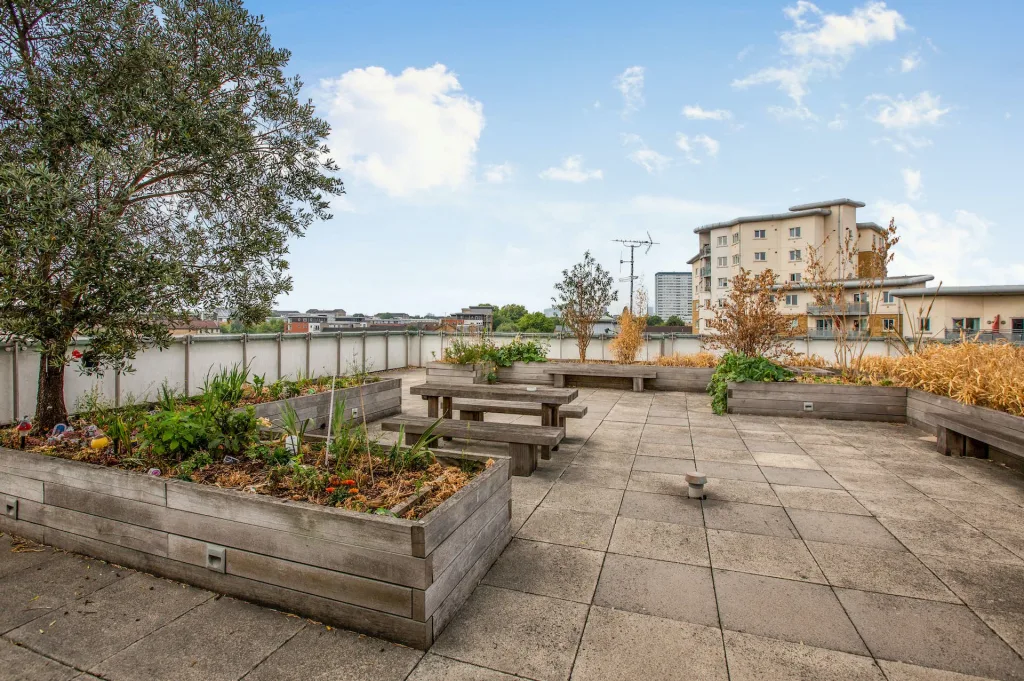 3 bedroom apartment for rent