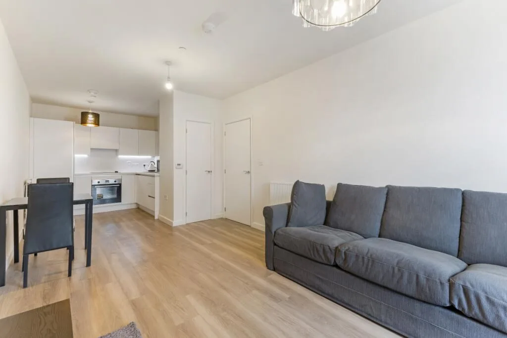 1 bedroom apartment for rent