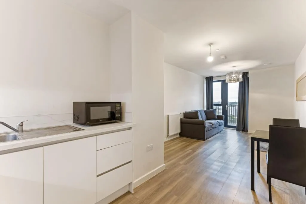 1 bedroom apartment for rent