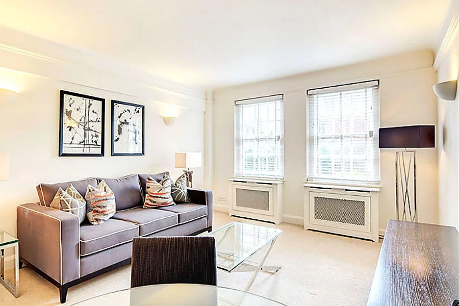1 bedroom apartment for rent