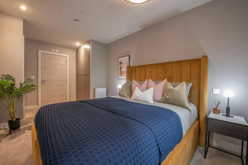 2 bedroom apartment for rent