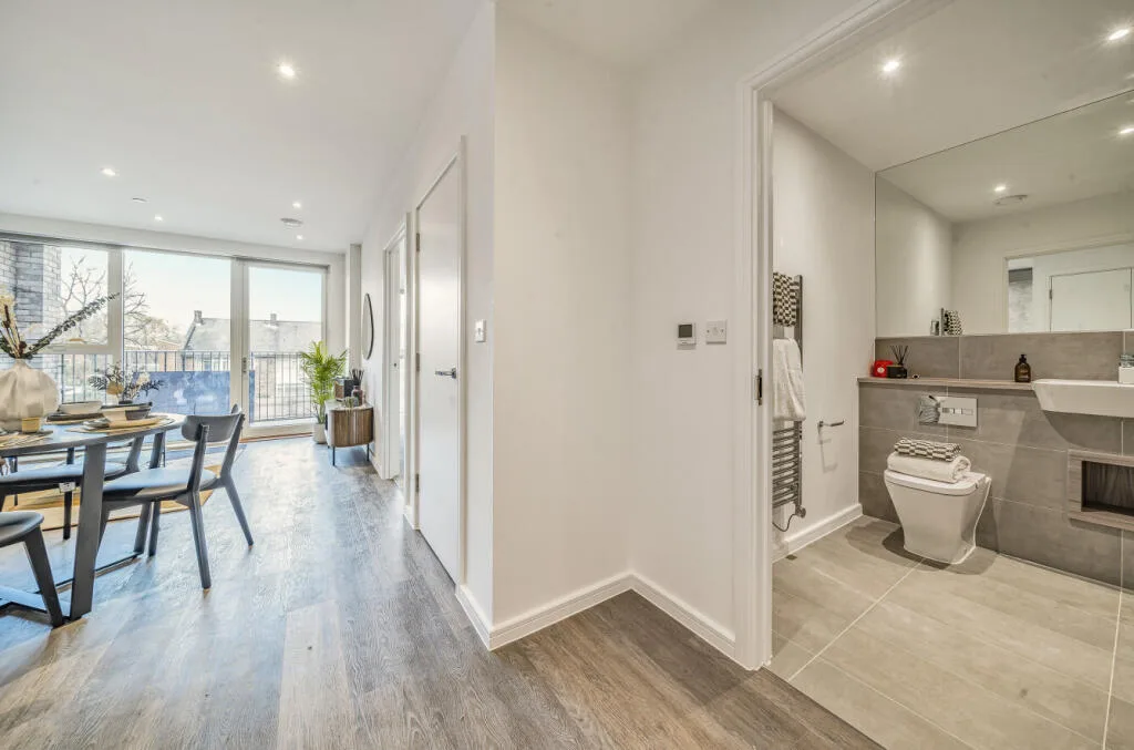 1 bedroom apartment for rent