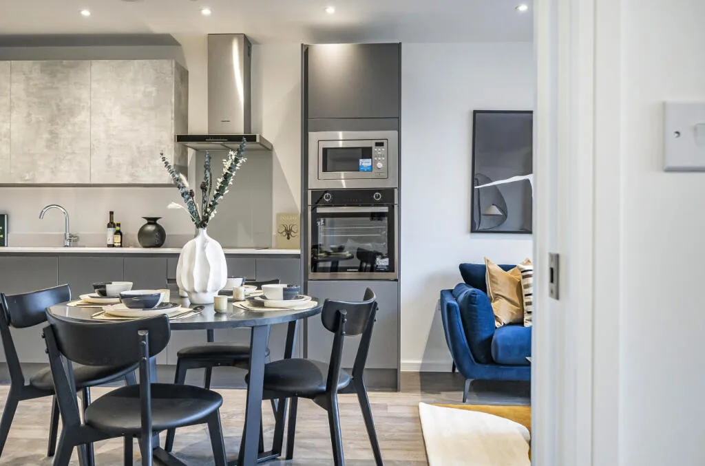 1 bedroom apartment for rent